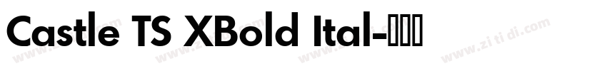 Castle TS XBold Ital字体转换
